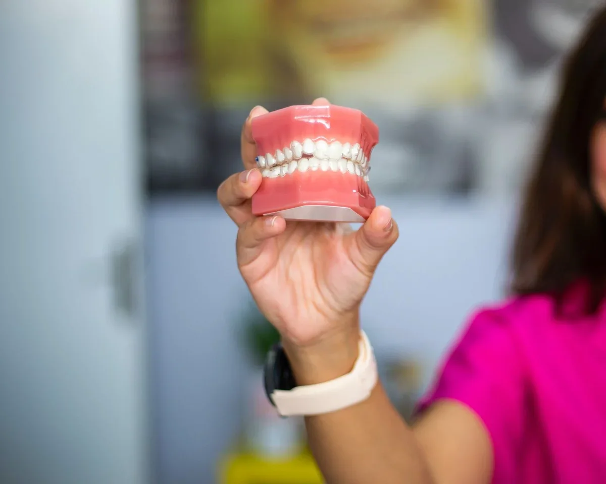 Modelo didático de dentes segurado pela mão. Imagem ilustrativa; não representa unidade, equipe ou produto da marca.
